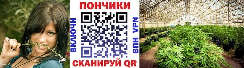 Купить наркотики Юрьев-Польский Марихуана  Амфетамин  Гашиш  МЕФ 