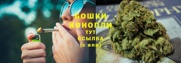 PSILOCYBIN Алексеевка