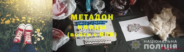 стафф Алексин