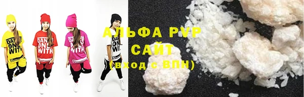 стафф Алексин