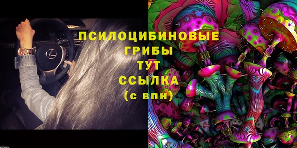 стафф Алексин