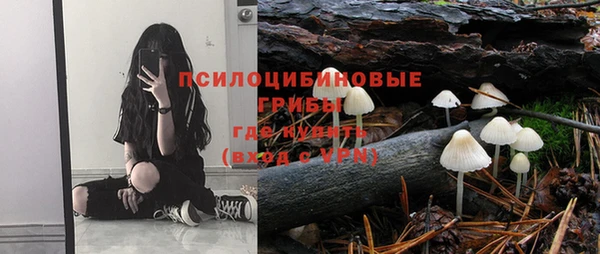 стафф Алексин