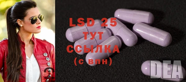 PSILOCYBIN Алексеевка