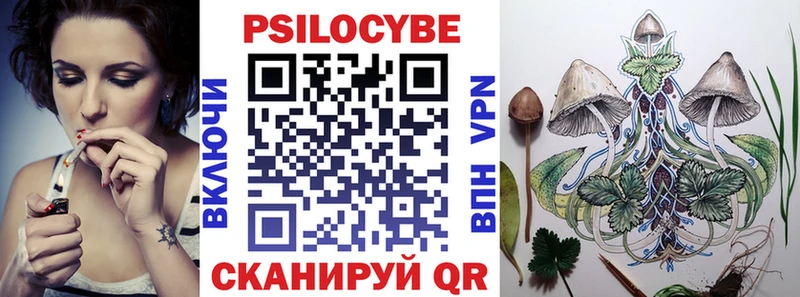 darknet клад  даркнет сайт  Юрьев-Польский  Галлюциногенные грибы мухоморы 